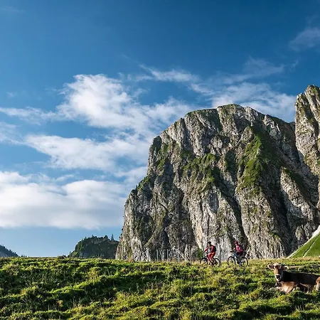 Alpenstern Pfronten