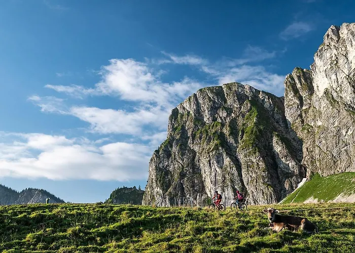 Alpenstern Пфронтен